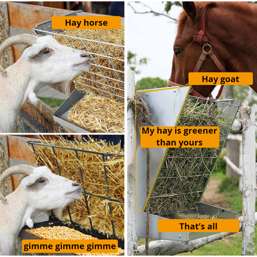 Goat: Hay horse; Horse: Hay goat; My hay is greener than yours; That’s all; Goat: gimme gimme gimme