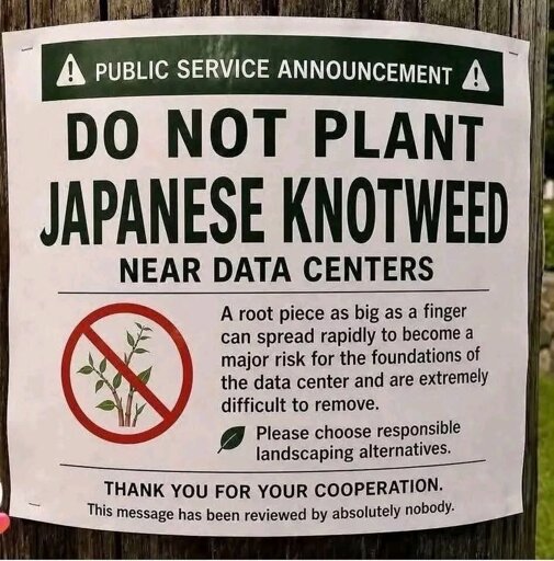  A PUBLIC SERVICE ANNOUNCEMENT A DO NOT PLANT JAPANESE KNOTWEED NEAR DATA CENTERS A root piece as big as a finger can spread rapidly to become a major risk for the foundations of the data center and are extremely difficult to remove. Please choose responsible landscaping alternatives. THANK YOU FOR YOUR COOPERATION. This message has been reviewed by absolutely nobody.