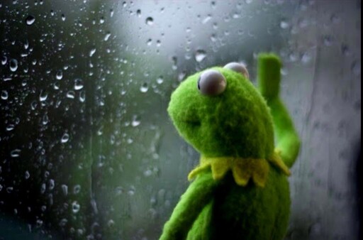 Adult friendships be like: "I miss you bro let's hang out in November"